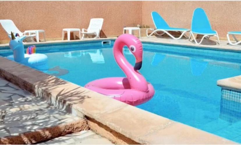 Hotel Saint Georges, Face A La Mer Canet-en-Roussillon Zewnętrze zdjęcie